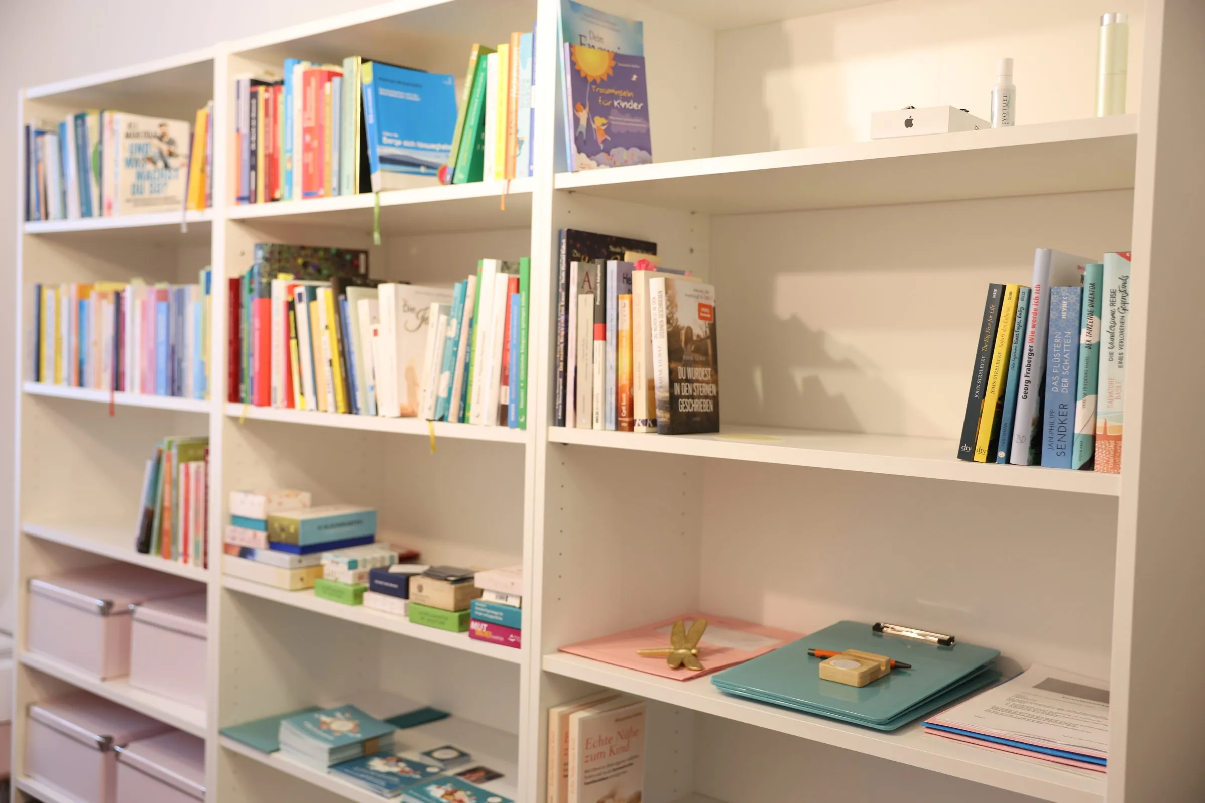 Bücherregal mit Büchern und Karten